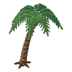 Leaning Palm
