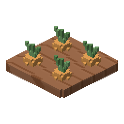Carrot patch