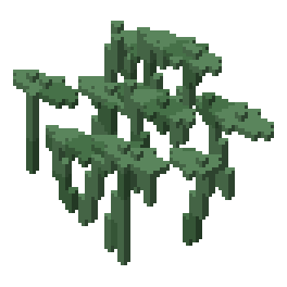 Fern patch
