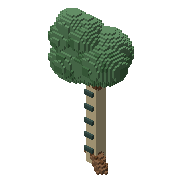 Birch tree