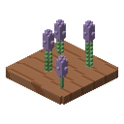 Lavender bed