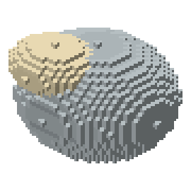 Coastal rock
