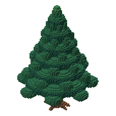 Whisperleaf Softneedle Fir