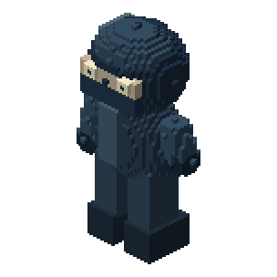 Skybound Ninja
