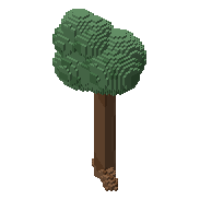 Broadleaf tree