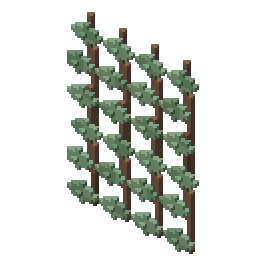 Hanging vines