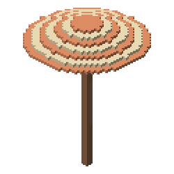 Beach umbrella