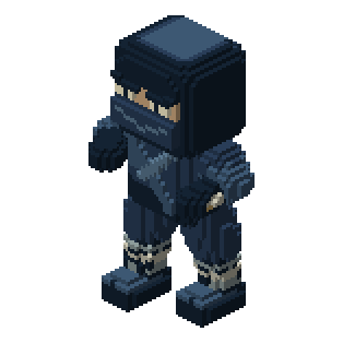 Skybound Ninja